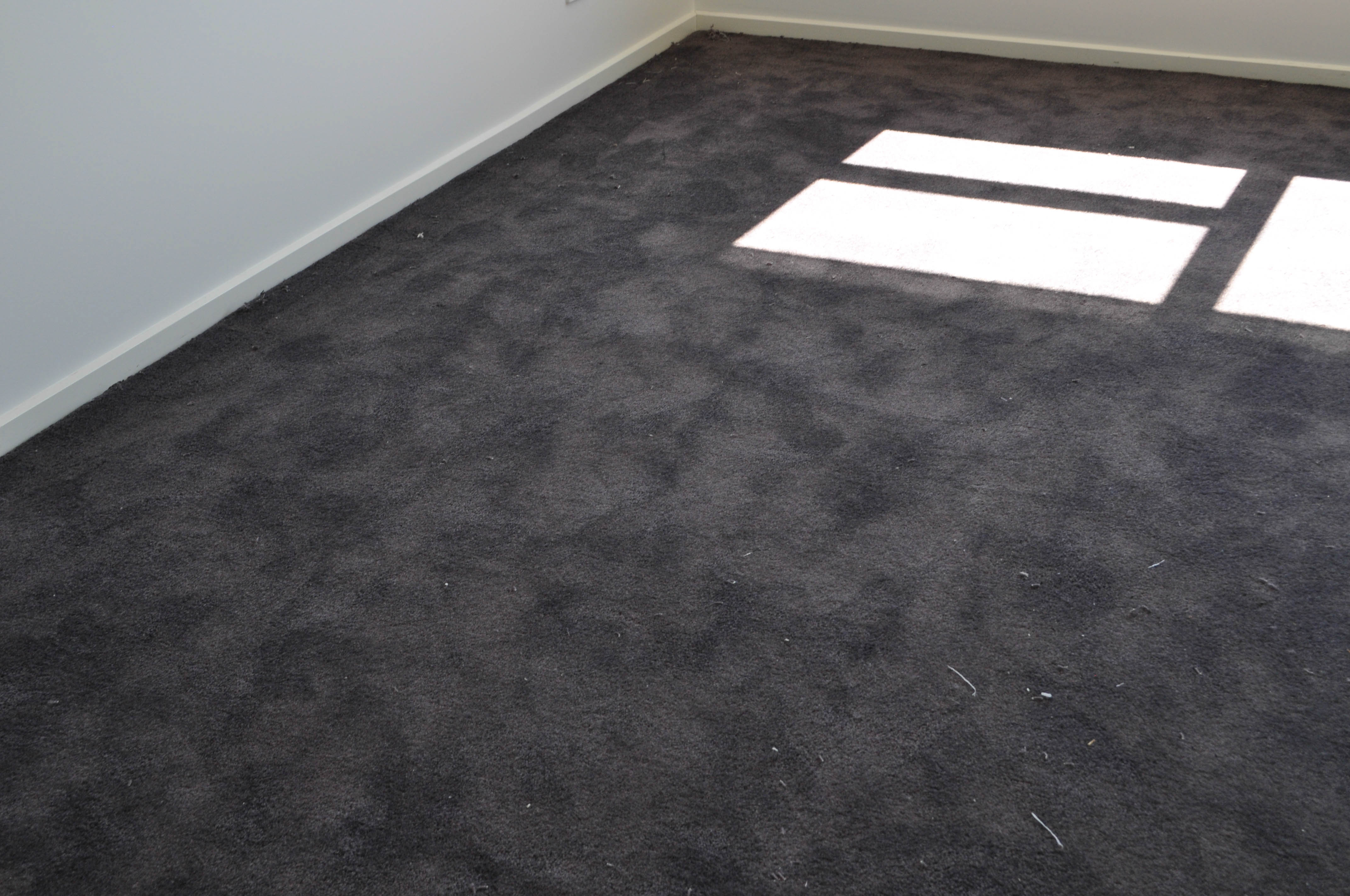 carpet in a room installed wall to wall, of a charcoal color.