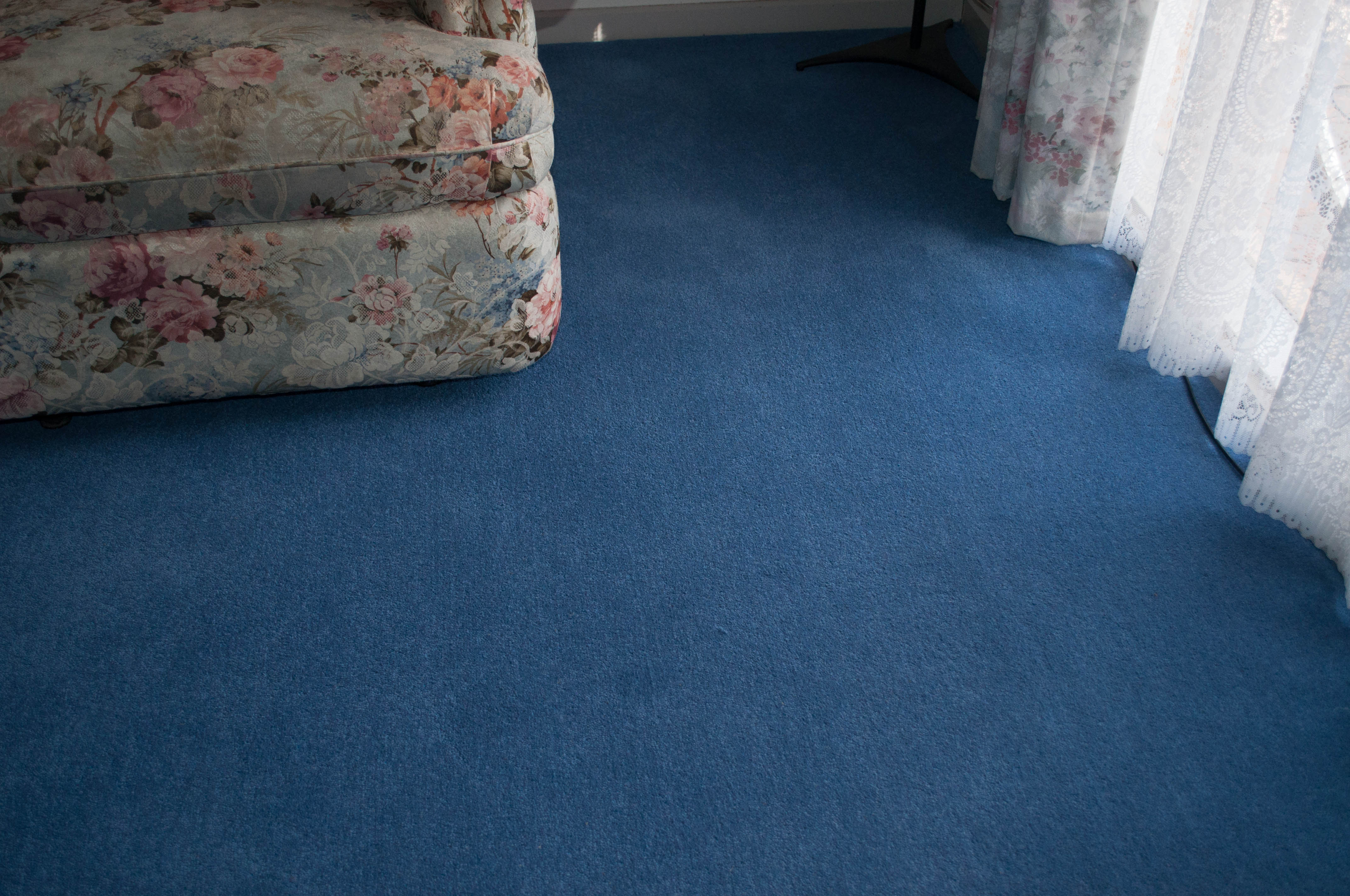 showing a room in house in Melton, with a armchairs in it, and it's floor carpeted by a, blue coloured twist pile, 80%-20% wool-nylon yarn, carpet, installed by Concord Floors.