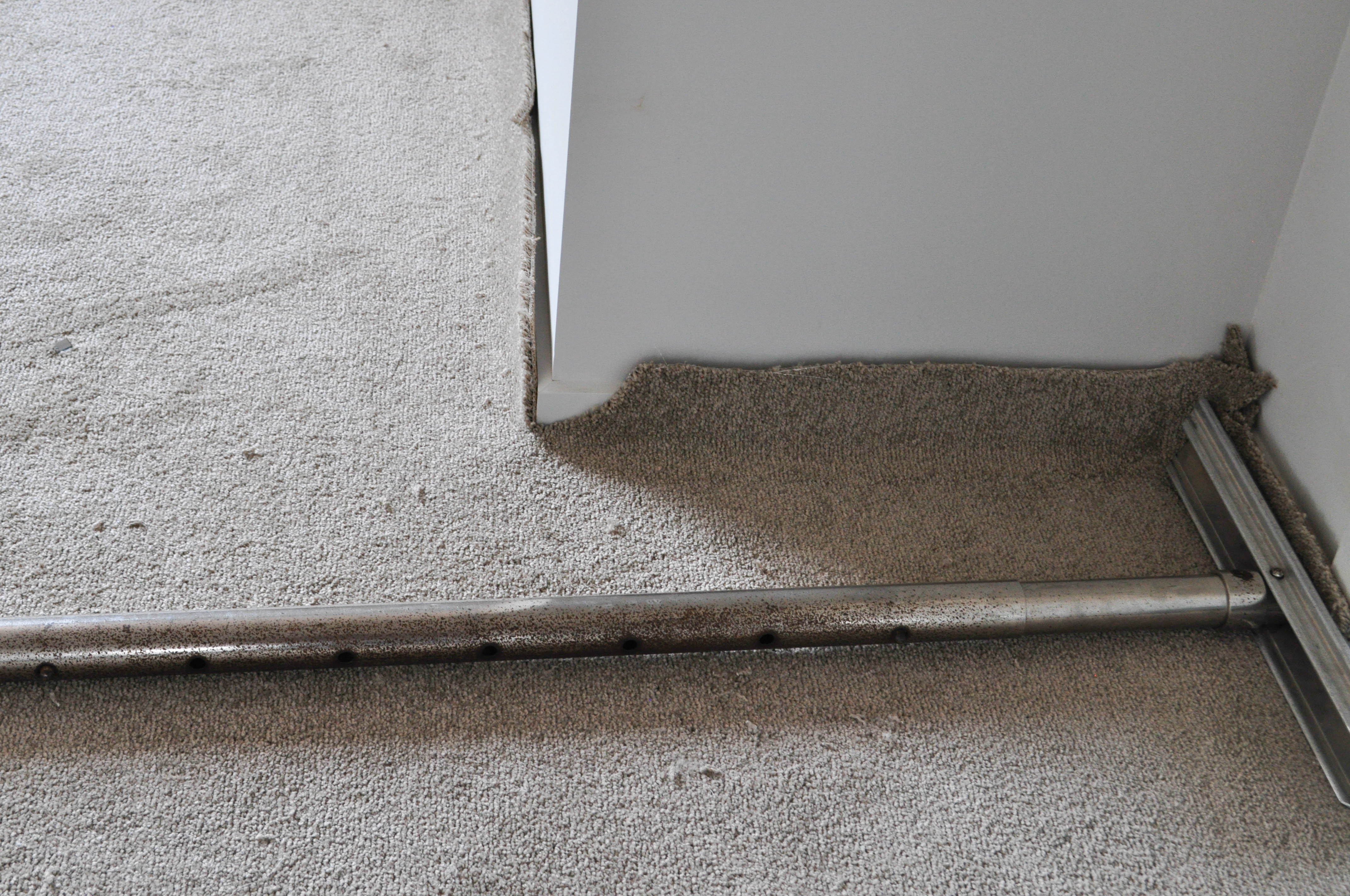 a slab of carpet with ripples in it, in a room that has been lifted of the gripper, with the foot of the power stretcher on the carpet
adjoining the wall and pressing on the carpet to impale it onto the gripper spikes where it will remain permanently.