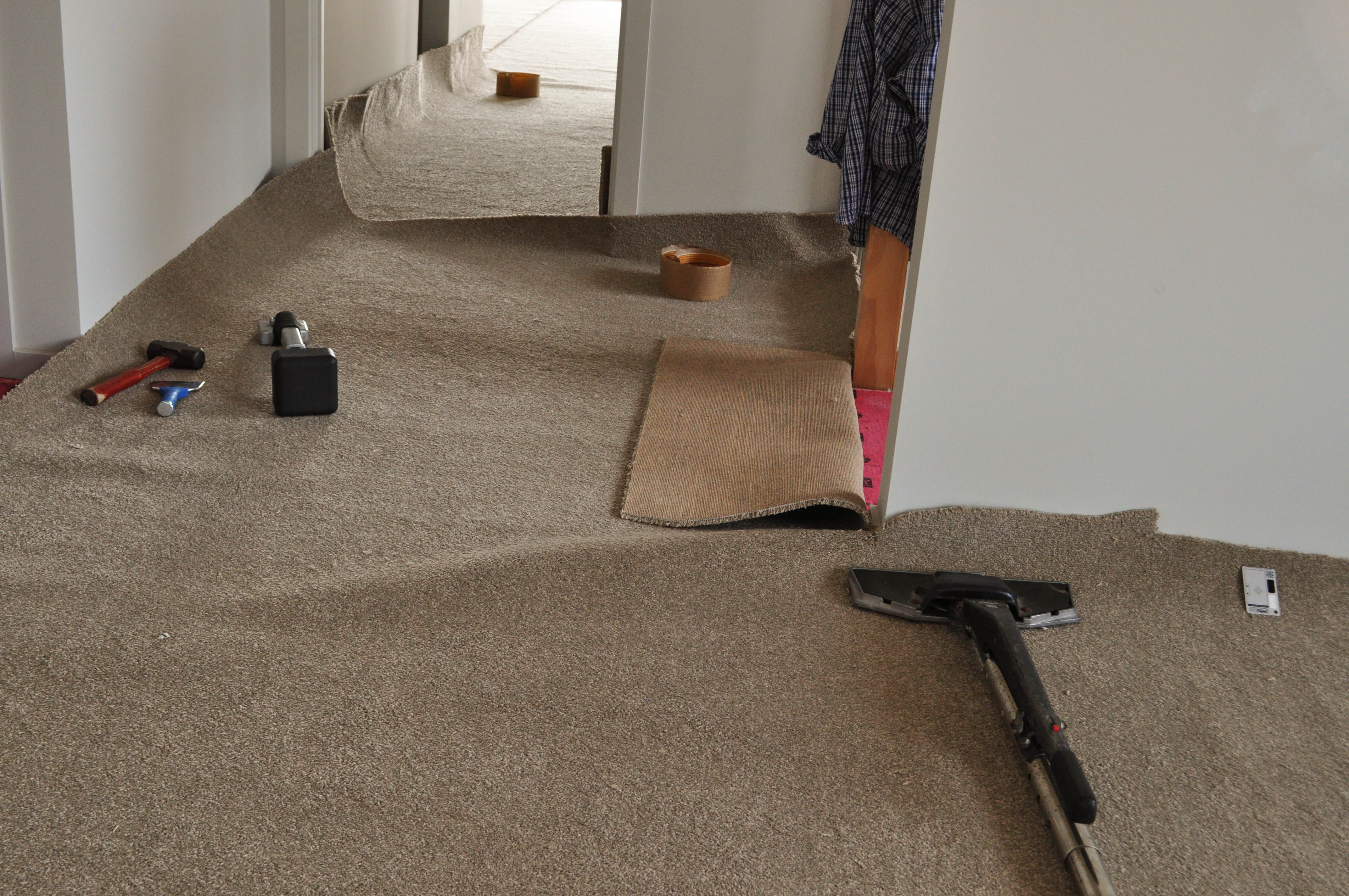 a slab of carpet with ripples in it, in a room that has been lifted of the gripper and where the telescopic head of the power stretcher
has been applied against the carpet gripping it and stretching it.