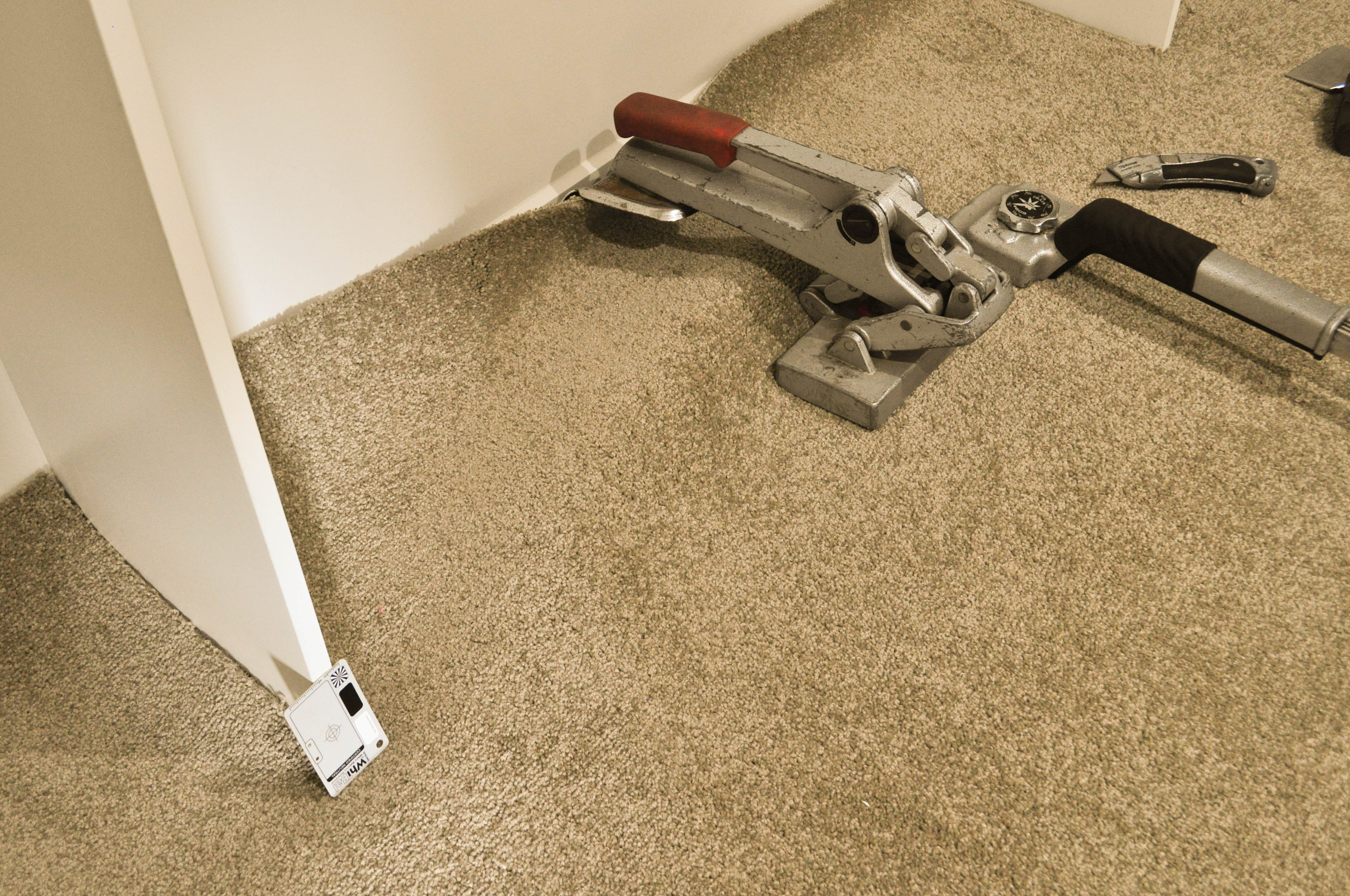 a slab of carpet with ripples in it, in a room that has been lifted of the gripper, where the bulldog power stretcher has gripped 
 the carpet and stretched it.