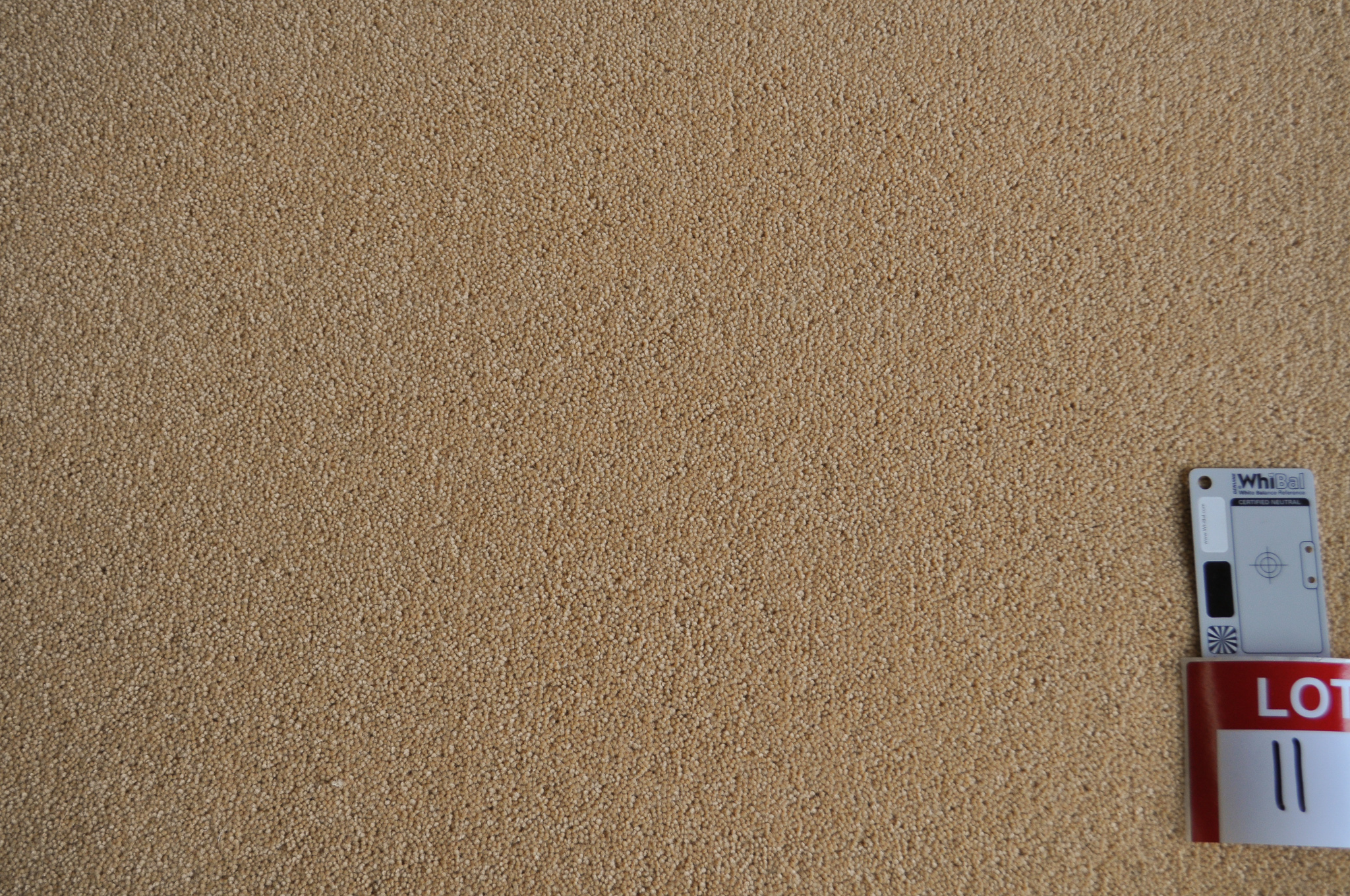 a sample of a wool/blend twist pile carpet, beige color in a roll in the warehouse of Concord Floors and supplied
 to the public by Concord Floors.