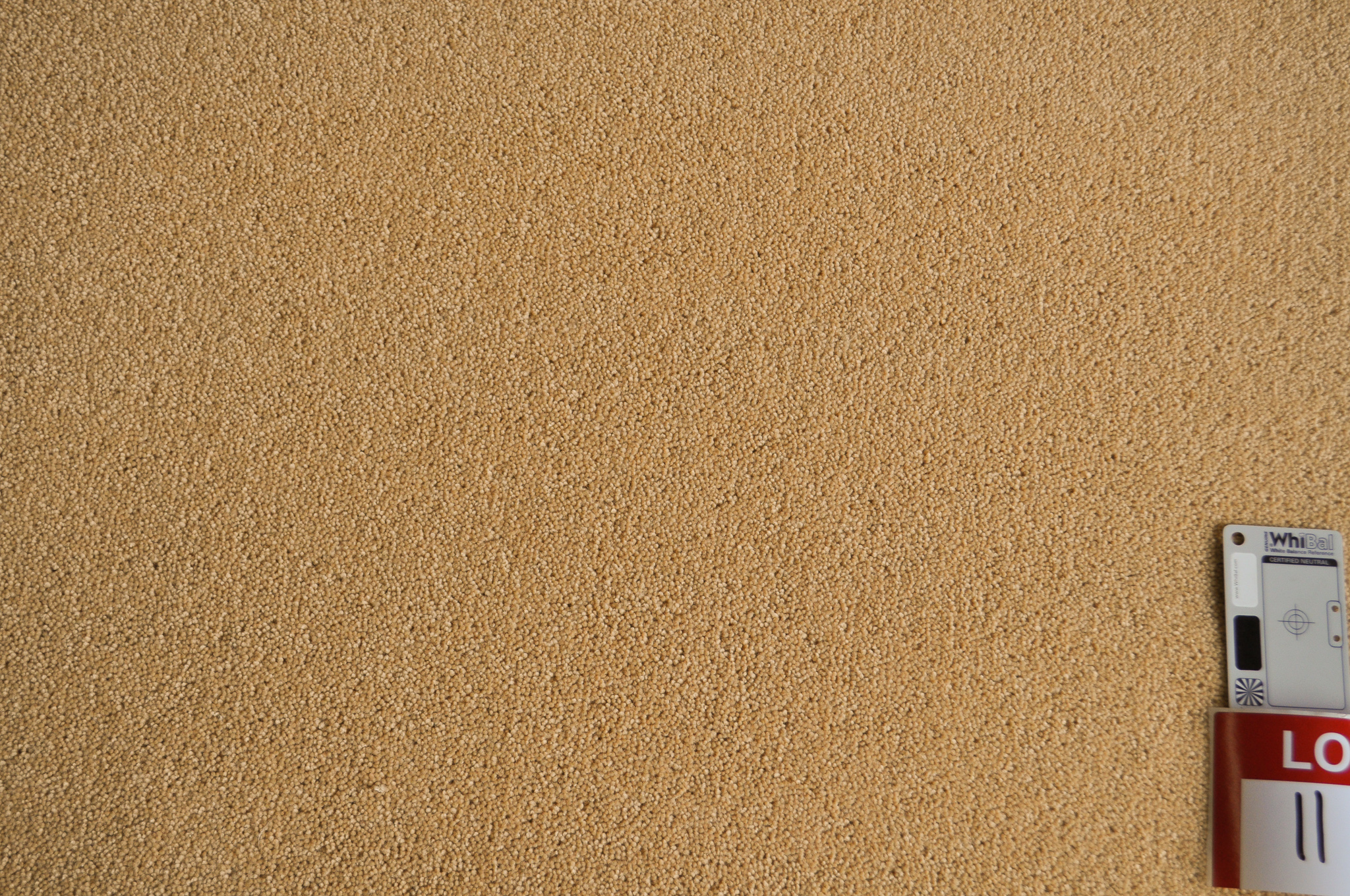 a sample of a wool/blend twist pile carpet, gold color in a roll in the warehouse of Concord Floors and supplied
 to the public by Concord Floors.