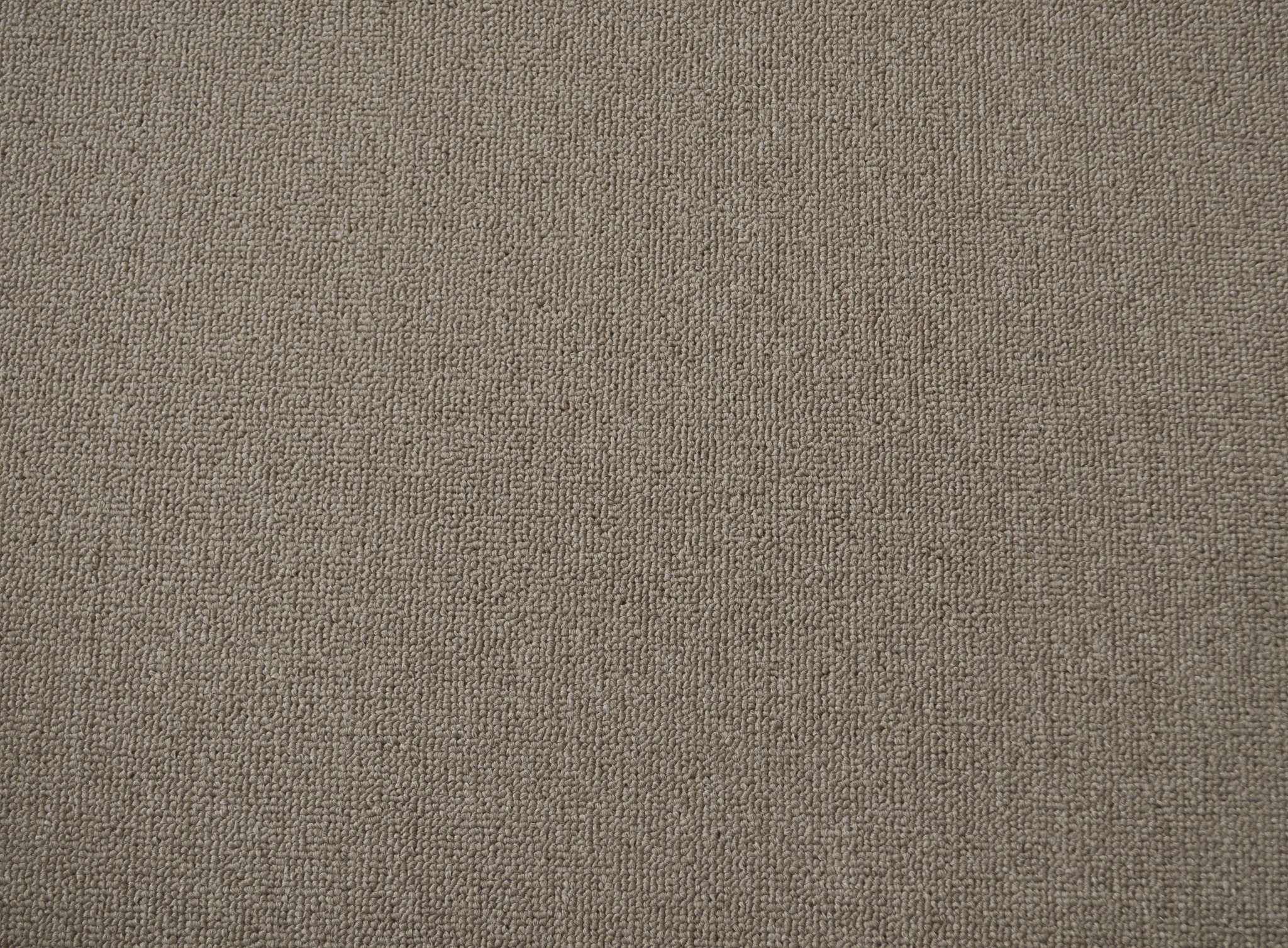 a sample of carpet of the stella beige color in the carpet range useful vallet.