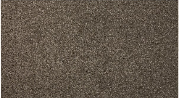 brown colored, nylon fibre, twist, level height pile, carpet called lap of luxury on sale at Concord Floors.