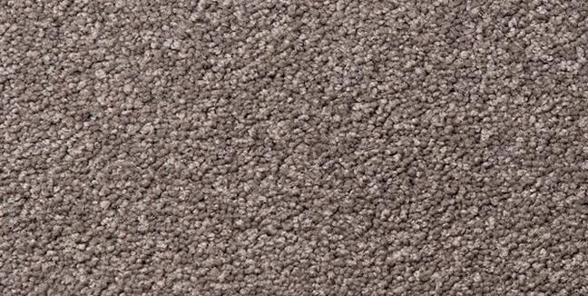 browny oyster colored, nylon fibre, twist, level height pile, carpet called Broadwater on sale at Concord Floors.