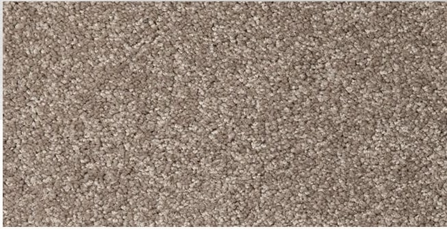 light khaki colored, nylon fibre, twist, level height pile, carpet called Broadwater on sale at Concord Floors.