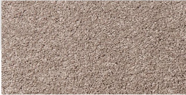 oyster colored, nylon fibre, twist, level height pile, carpet called Broadwater on sale at Concord Floors.