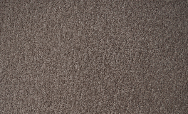 a sample of earth colored, wool twist-pile carpet.