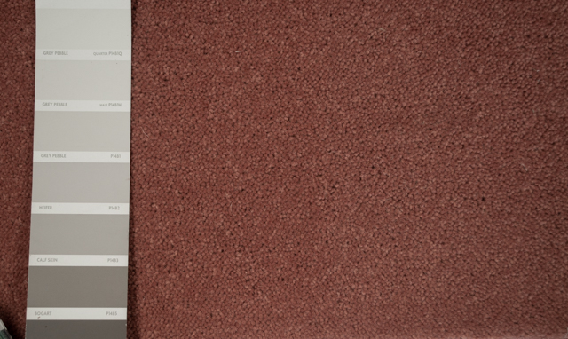 a sample of terra cotta colored, wool, twist-pile carpet.