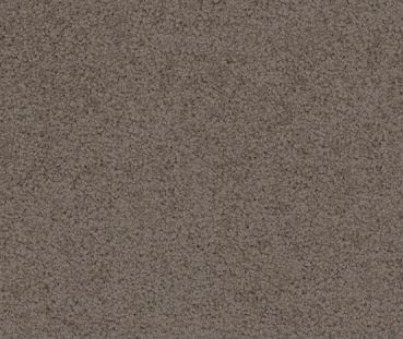 GREENY BEIGE colored, nylon fibre, twist, level height pile, carpet called AUSTRALIS on sale at Concord Floors.
