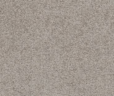 STIPPLED GREENY BEIGE colored, nylon fibre, twist, level height pile, carpet called AUSTRALIS on sale at Concord Floors.
