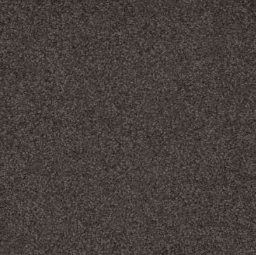 STIPPLED BROWN colored, nylon fibre, twist, level height pile, carpet called AUSTRALIS on sale at Concord Floors.