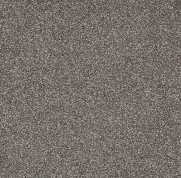 STIPPLED SMOKEY BEIGE colored, nylon fibre, twist, level height pile, carpet called AUSTRALIS on sale at Concord Floors.