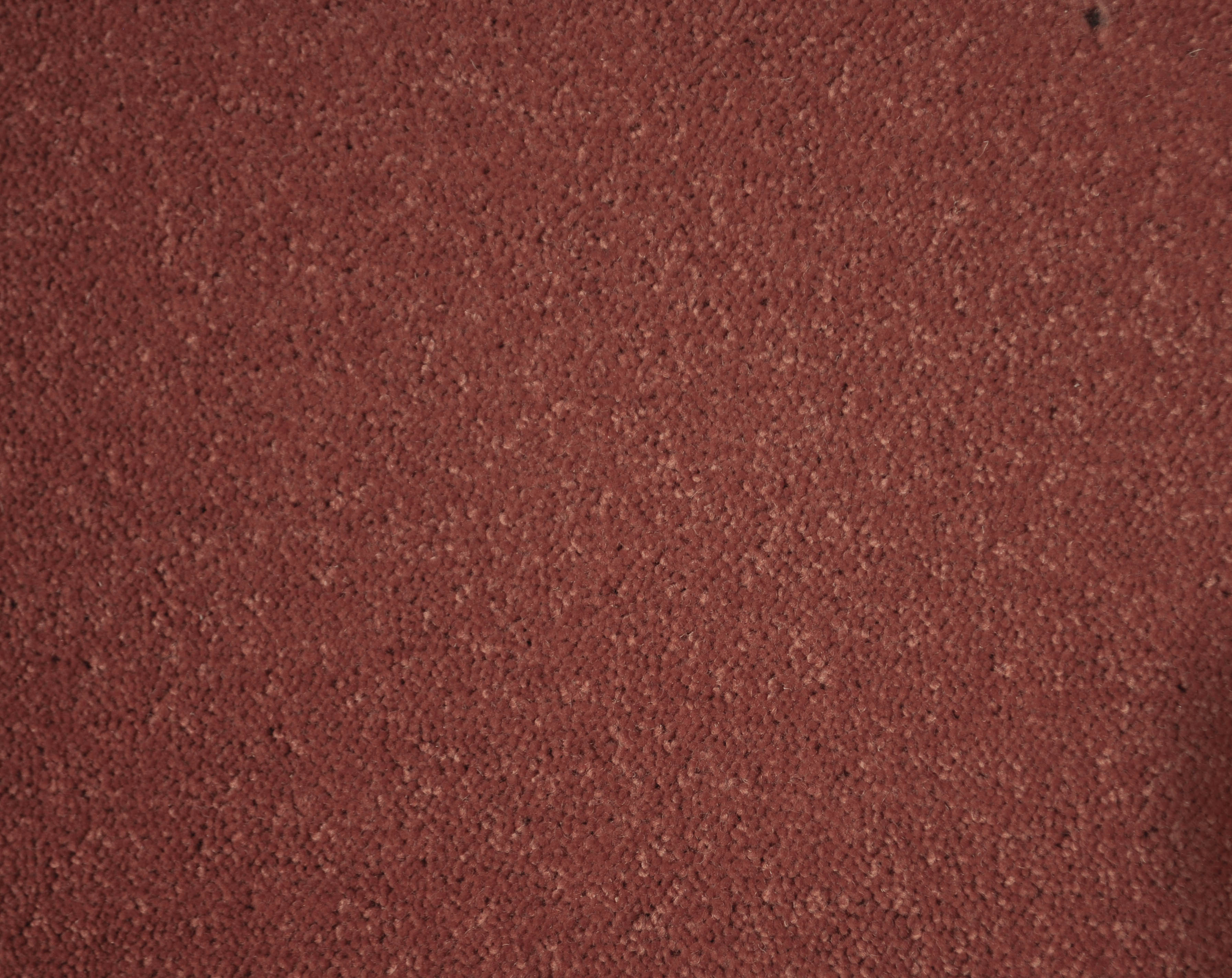 orangey terra-cotta colored, 100% wool fibre, twist pile carpet called mountain peaks on sale at Concord Floors.