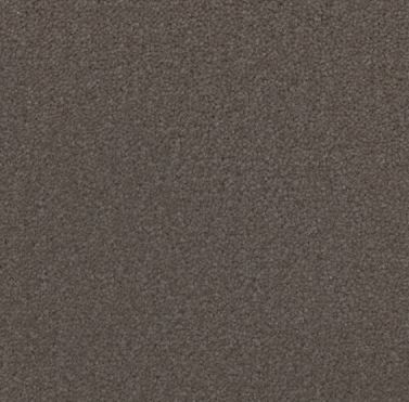 light brown colored, nylon fibre, plush pile, level height pile, carpet called HN on sale at Concord Floors.
