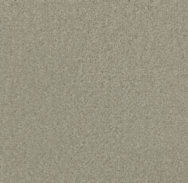 greeny beige colored, nylon fibre, plush pile, level height pile, carpet called HN on sale at Concord Floors.
