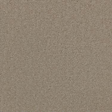 yellow beige colored, nylon fibre, plush pile, level height pile, carpet called HN on sale at Concord Floors.
