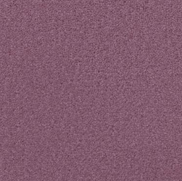 reddy purple colored, nylon fibre, plush pile, level height pile, carpet called HN on sale at Concord Floors.