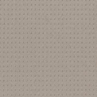 light grey brown colored, nylon fibre, multi-level loop pile, carpet called SHANGRILA on sale at Concord Floors.