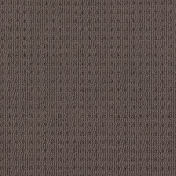 brown colored, nylon fibre, multi-level loop pile, carpet called SHANGRILA on sale at Concord Floors.