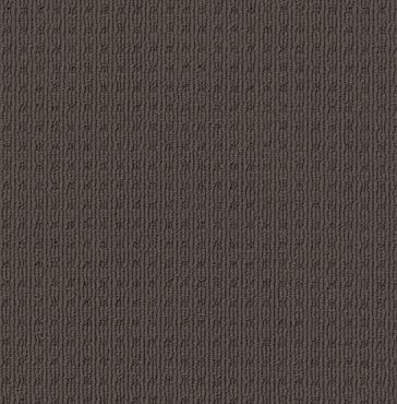 reddy brown colored, nylon fibre, multi-level loop pile, carpet called SHANGRILA on sale at Concord Floors.