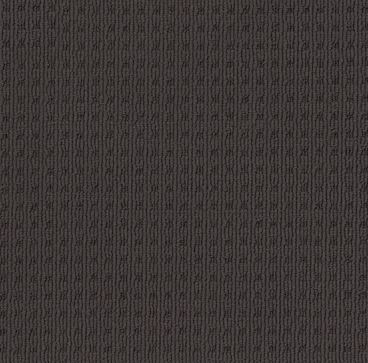 black charcoal colored, nylon fibre, multi-level loop pile, carpet called SHANGRILA on sale at Concord Floors.