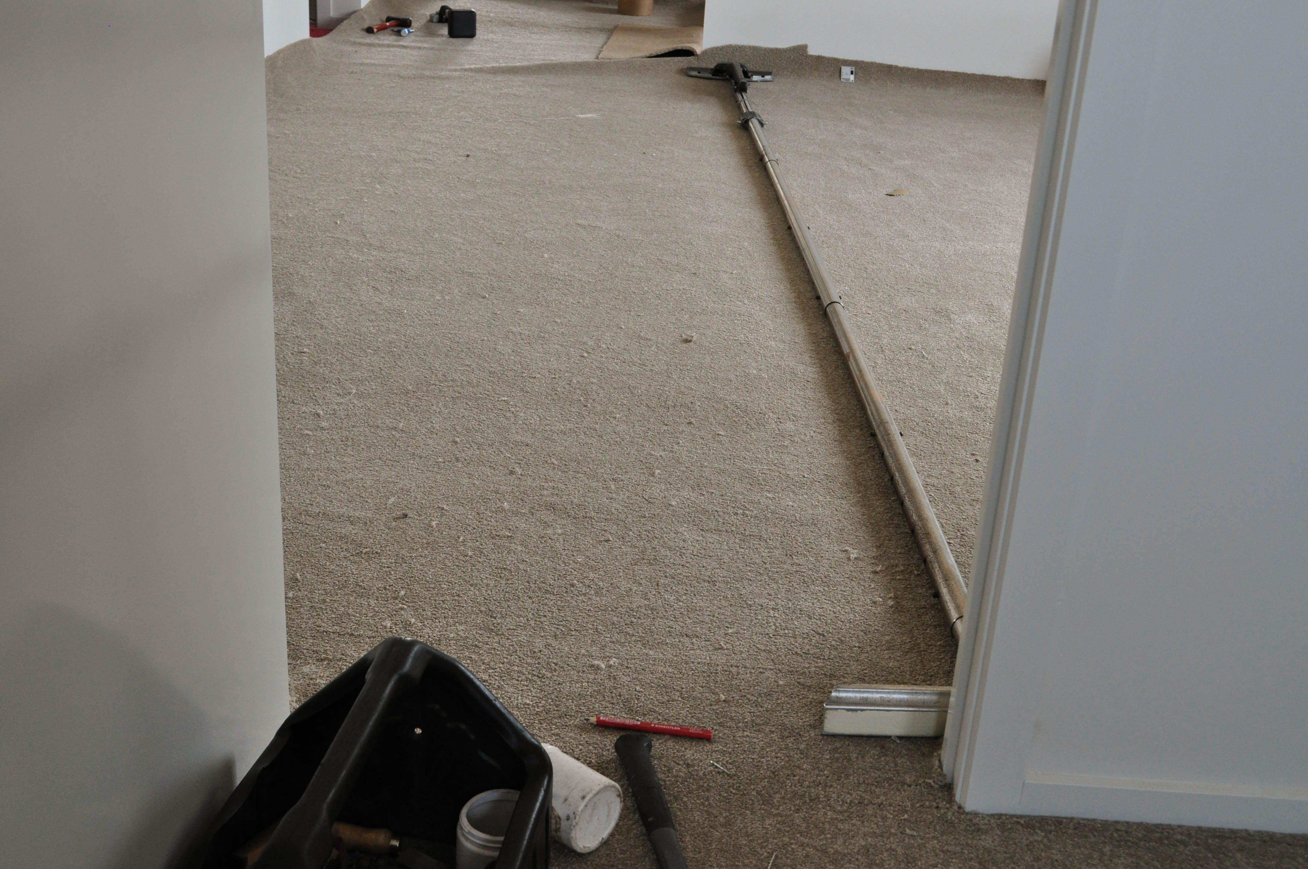 a slab of new carpet being laid with carpet ripples in it that have had the carpet ripples removed out of it, in a room with a passage
 running of it in a home in Hoppers Crossing. The carpet has a telescopic power stretcher on fully extended to show how carpet ripples were stretched out of the carpet