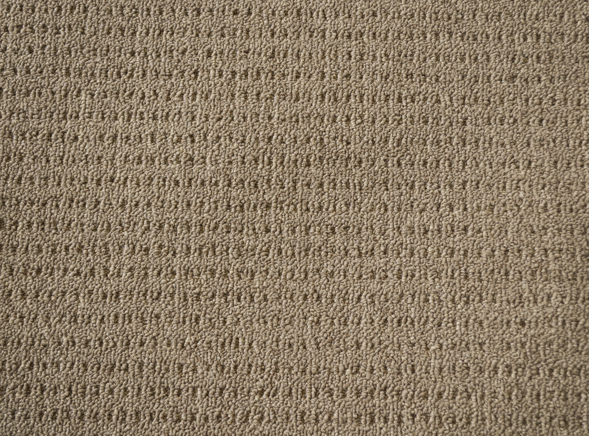 a sample of carpet of a specific color in the carpet range in the range serenity.