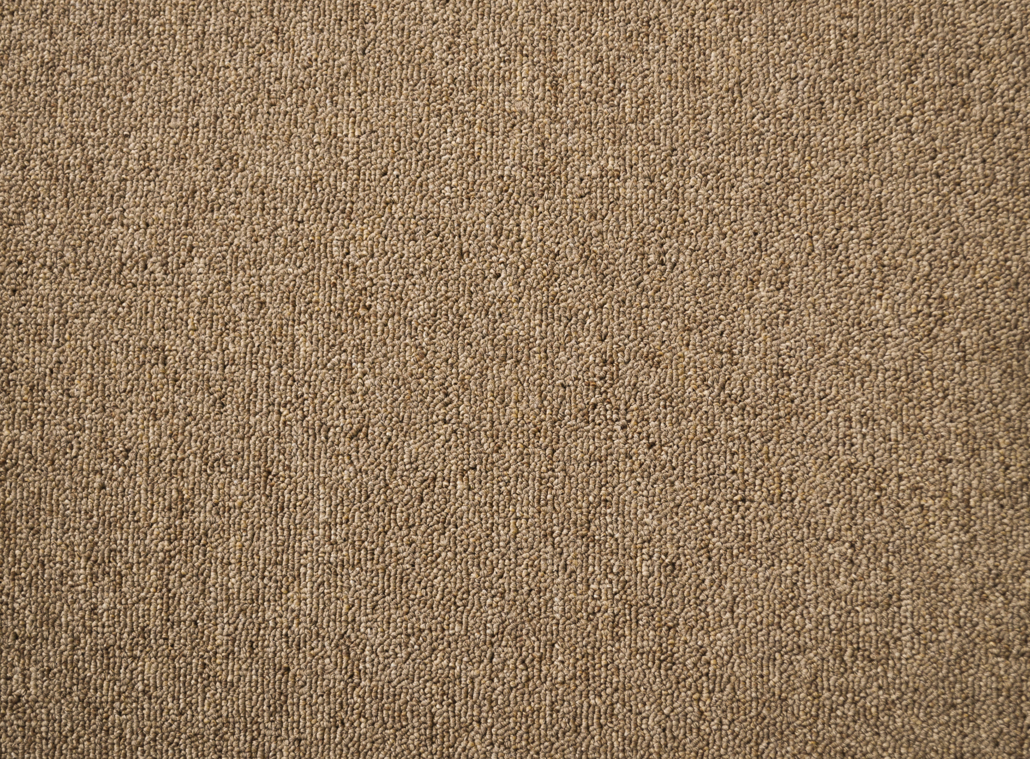 a sample of carpet of the raw umber color in the carpet range useful vallet.
