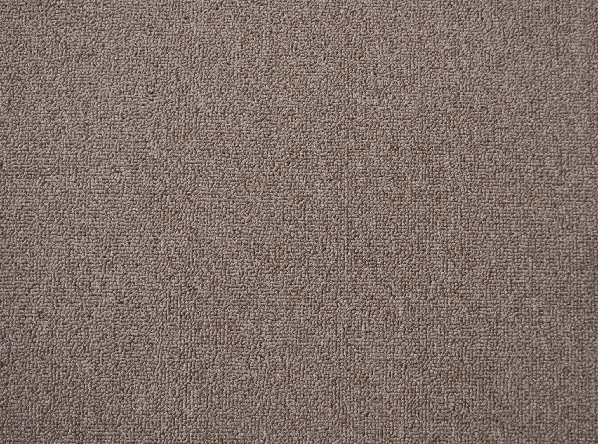 a sample of carpet of the copper color in the carpet range useful vallet.