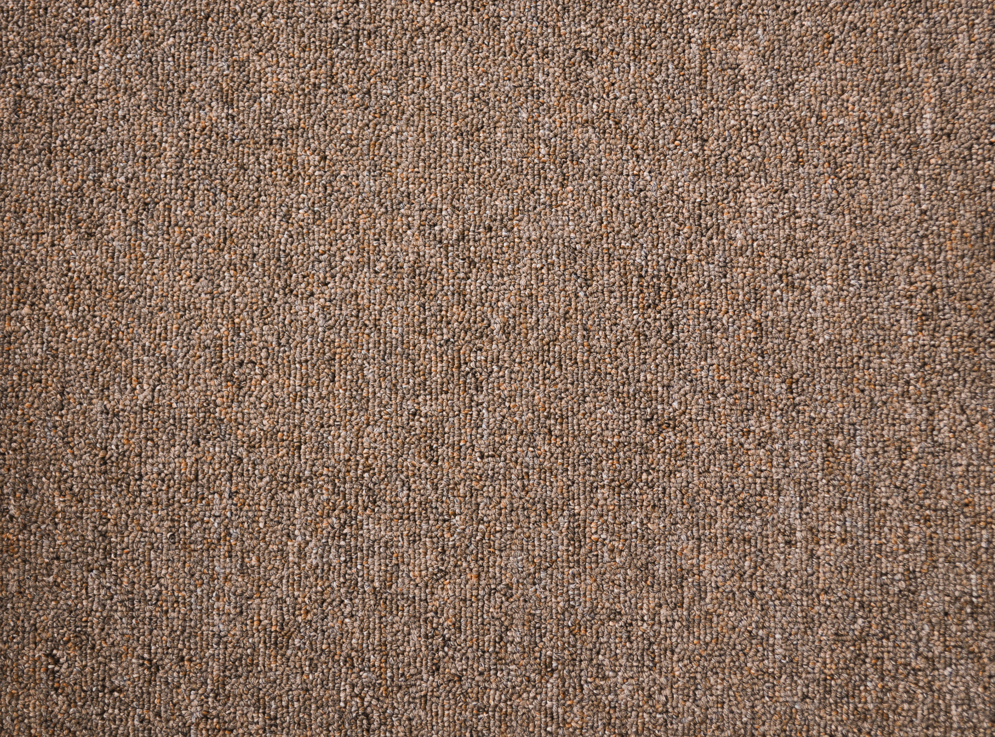 a sample of carpet of the earthen color in the carpet range useful vallet.