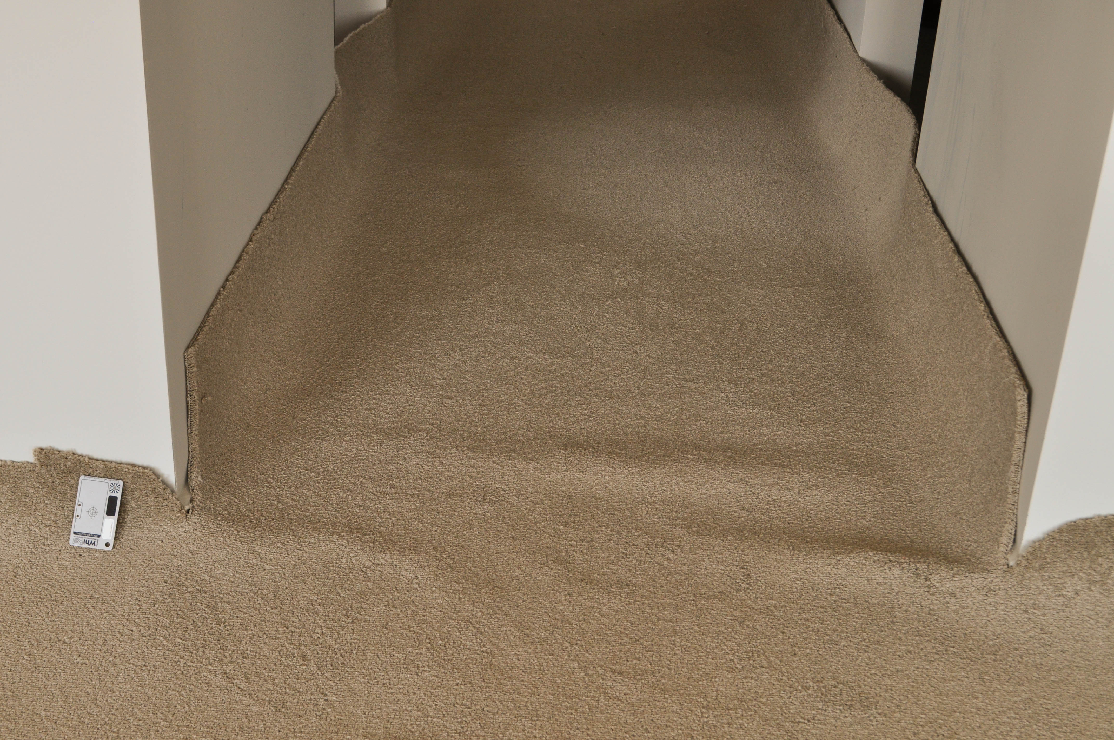 showing the floor in a lounge room and adjoining passage that has a cream colored broadloom carpet being installed on top of it.