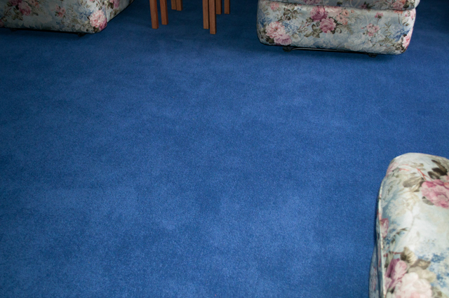 prussian blue colored, 80% wool-20% nylon fibre, twist, level height pile, carpet called Andean Heights laid in a room with furniture by Concord Floors.