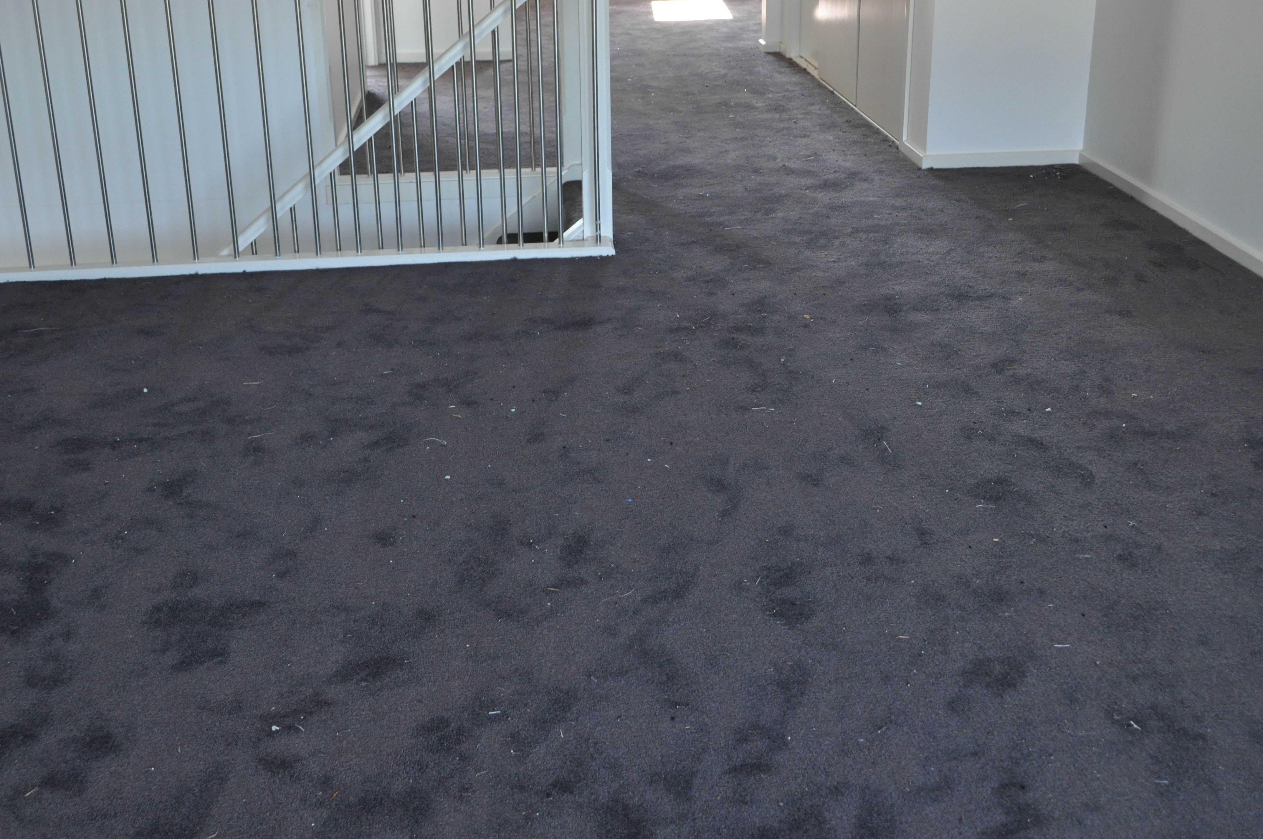 showing a living room and abutting passage which has its floor covered by a plush pile carpet, range HN color number: 98 (charcoal color) in a home in Caroline Springs, Melbourne Victoria 
	  3023 which was installed by Concord Floors.
