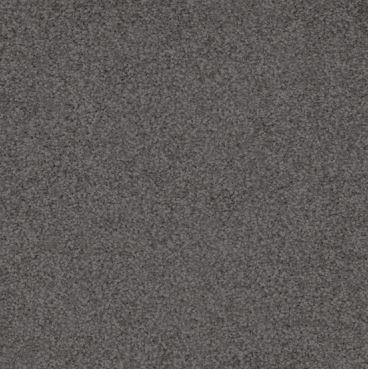 DEEP GREY colored, nylon fibre, twist, level height pile, carpet called AUSTRALIS on sale at Concord Floors.