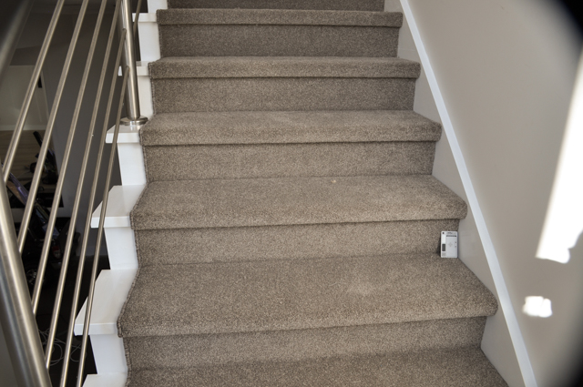the stair runner affixed to the steps of an interior of a modern home utilizing, a monochromatic color, taupe nylon carpet,
  and a modern carpet style. This modern broadloom carpet has carpet overlocking on one side, the side that is exposed on the staircase. The carpet railings are stainless 
  steel which is modern interior decor. The home is in Hoppers Crossing, Vic 3029 and the carpet was sold and installed by Concord Floors.